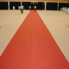 2009- carpete vermelho